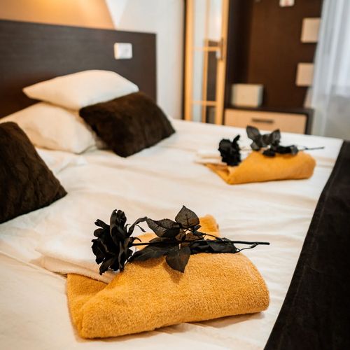 Oázis Panzió Makó