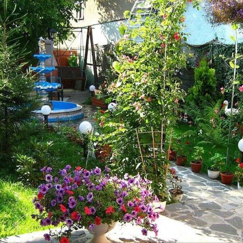 Camere de închiriat Maria Bușteni – Buşteni, România