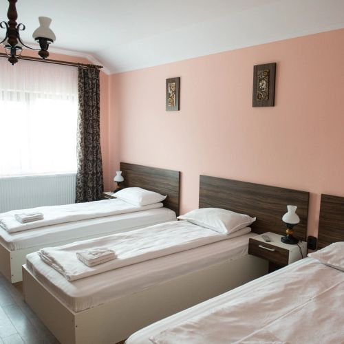 Casa Paveios Oradea – Oradea, România