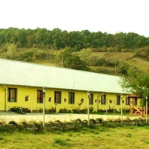 Hostel Două Salcii Aiudul de Sus