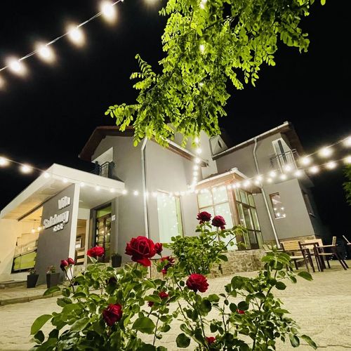 Vila Salzburg Ocna Sibiului