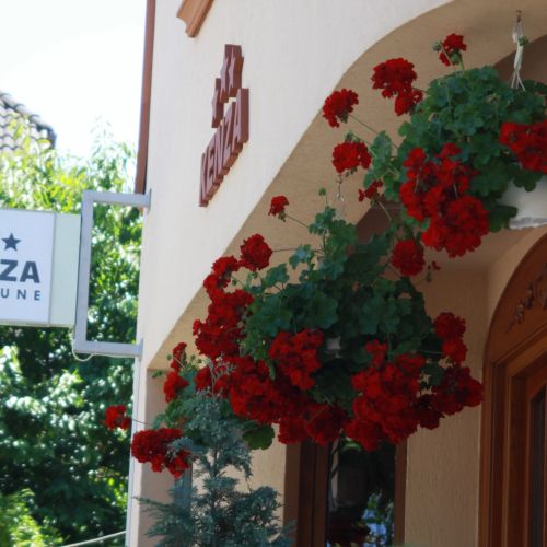 Pensiunea Kenza Târgu Mureș – Târgu Mureș, România