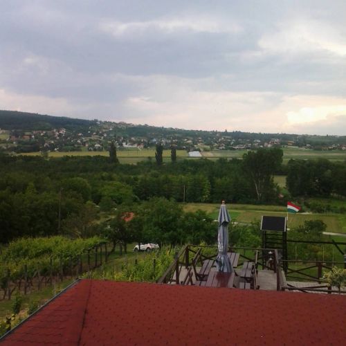 Vilmos Pince Hévíz – Hévíz, Ungaria