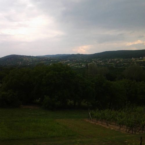 Vilmos Pince Hévíz – Hévíz, Ungaria