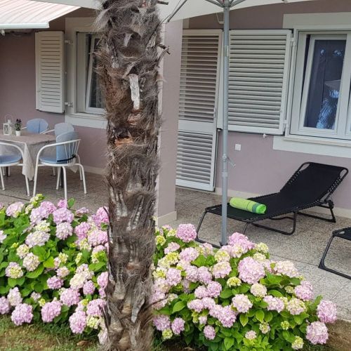 Apartman Obitelji Rajnović Crikvenica – Crikvenica, Croația
