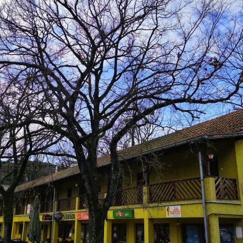 Kastélypark Fürdő Panzió Füzesgyarmat