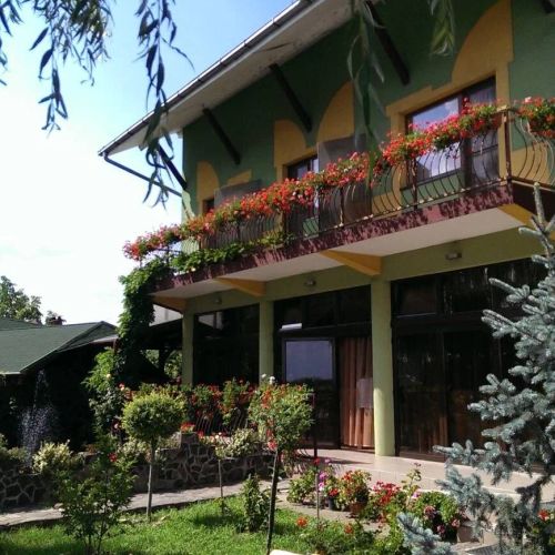 Pensiunea Brigi Vetiș