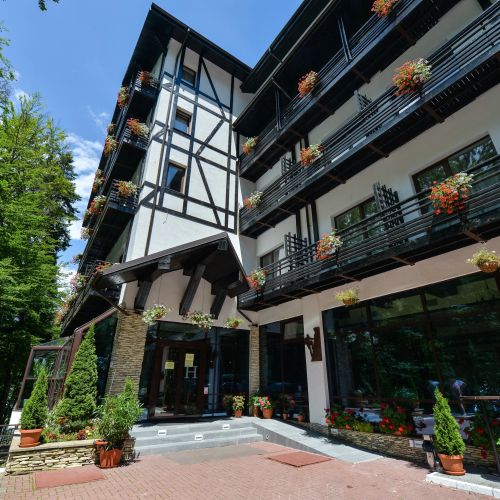 Hotel Posada Vidraru Arefu