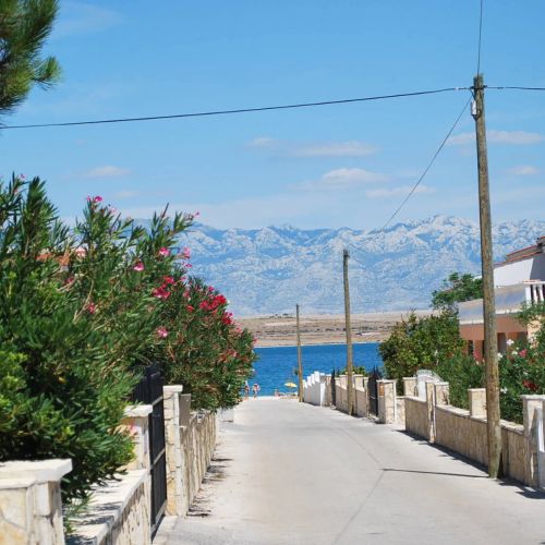 Alina Apartman Vir