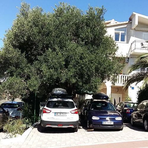 Vila Apartmani Sumic Makarska