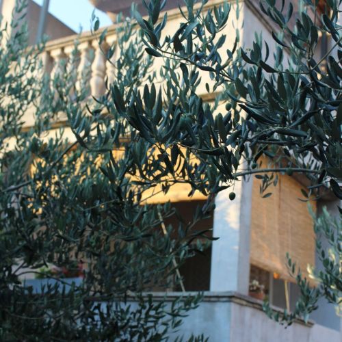Apartmani Tea Zadar – Zadar, Chorwacja