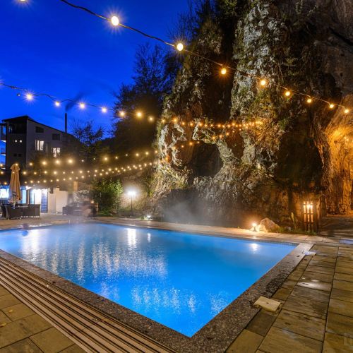 Pensiunea Apuseni Wild Remeți