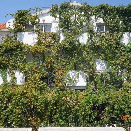 Apartmani Mistral Orebić