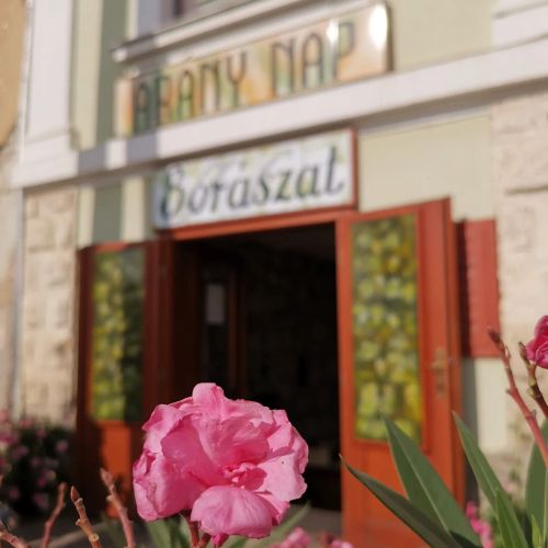 Aranynap Vendégház Tállya – Tállya, Węgry