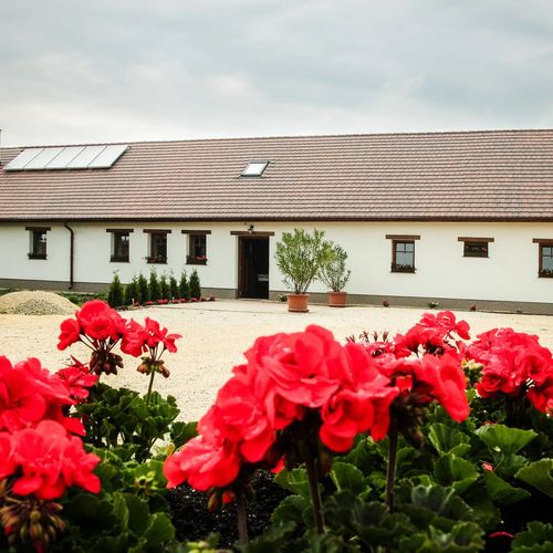 Kőpince Vendégház Bakonyszentlászló