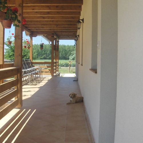 Kékszilva Vendégház Pap