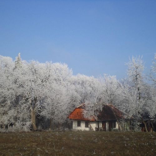 Őrségi Fecskefészek Vendégház Őriszentpéter