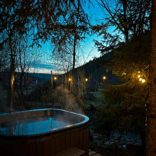 Cabana Elixir Izvoare – Izvoare, România