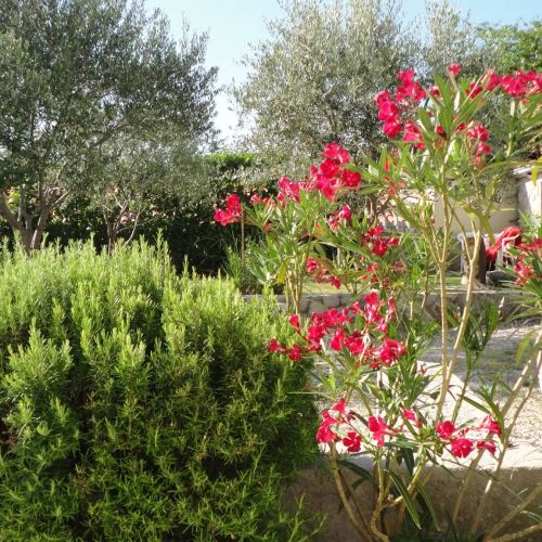 Apartman Info Krk – Krk, Croația