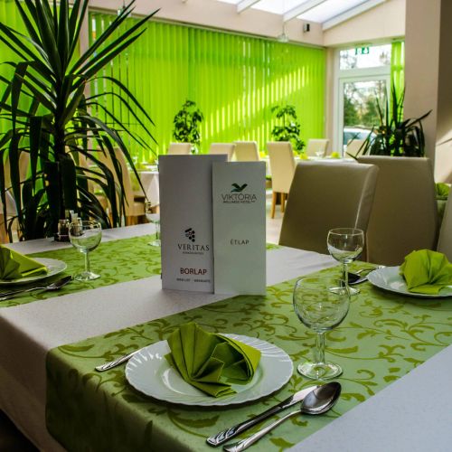 Viktória Wellness Hotel Nagyatád – Nagyatád, Ungaria