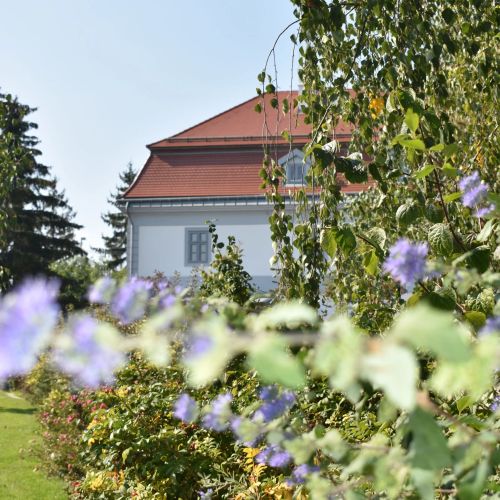Bagolyvár Fogadó - Újfalusy Márton Vendégház Zirc