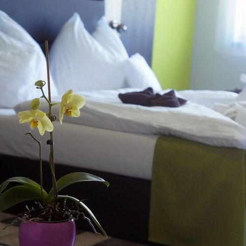 Fitromax Sportpanzió Ajka