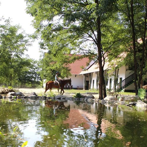 Hunor Lovastanya Kunbaracs