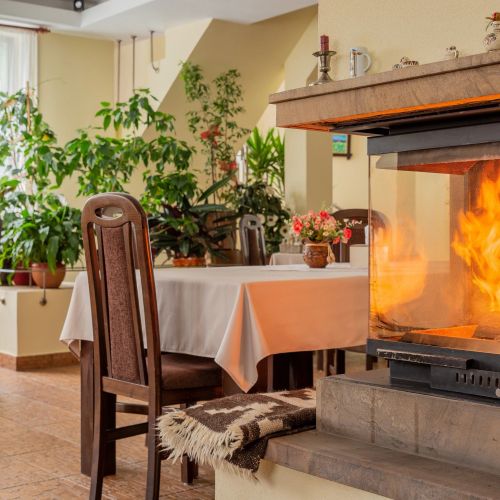 Pensiunea Ana Cavnic