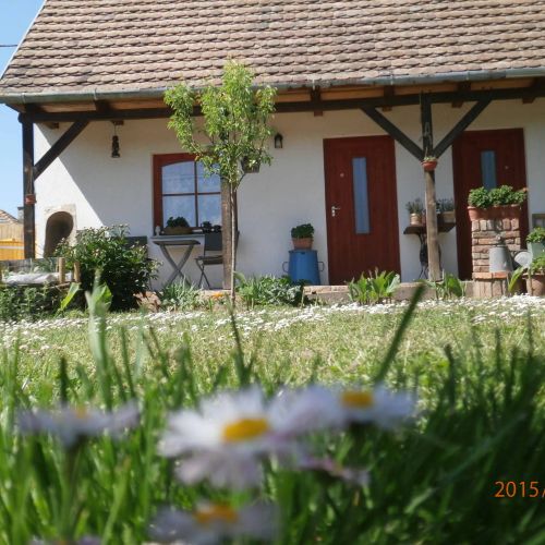 Petra Vendégház Sellye