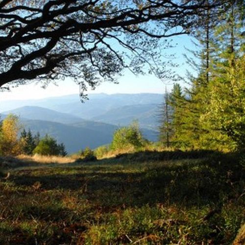 Pensjonat Źródełko Ustroń – Ustroň, Polsko