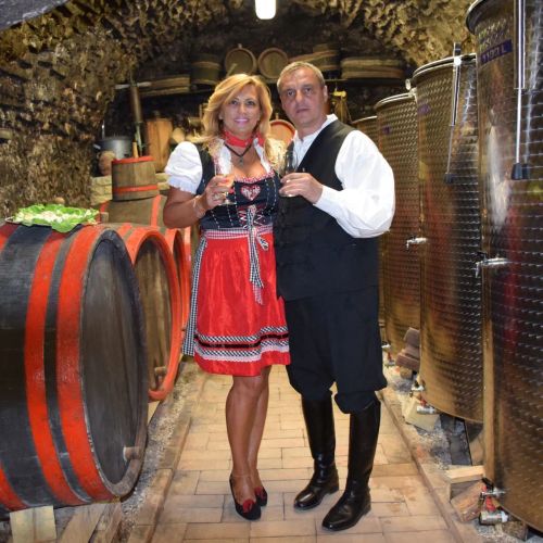 Bagdal-Vino Vendégház Somlójenő – Somlójenő, Ungaria