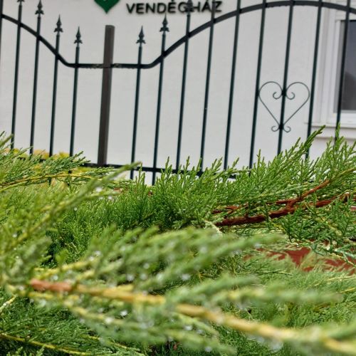 Tulipán Vendégház Sárospatak – Sárospatak, Ungaria