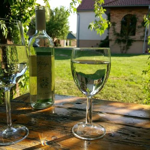 Borbarátok Vendégház Villány