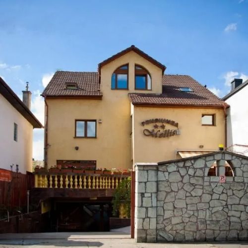 Pensiunea Mellis Cluj-Napoca