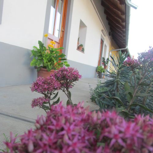 Rigófütty Vendégház Tiszaalpár – Tiszaalpár, Ungaria