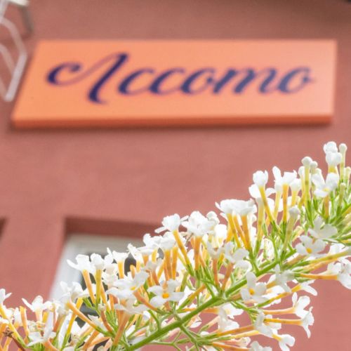 Accomo Apartman Siófok – Siófok, Ungaria
