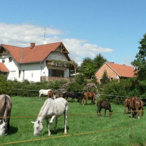 Sziklakert Vendégház Őriszentpéter – Őriszentpéter, Maďarsko