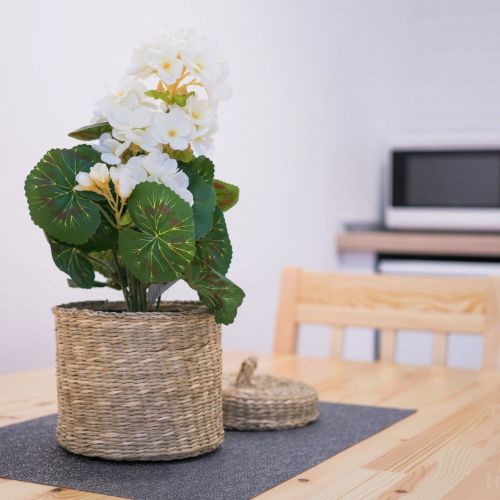 Apartament White Studio Cluj-Napoca – Cluj-Napoca, România