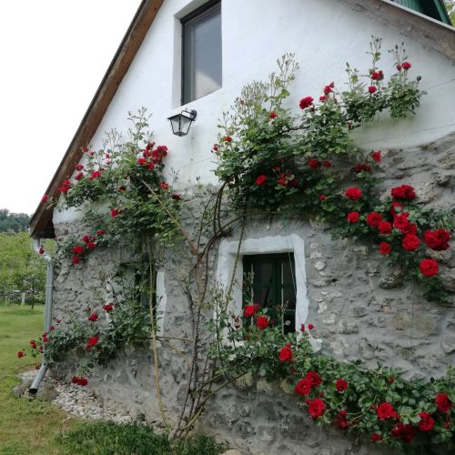 Kapolcs Cottage Vendégház Kapolcs