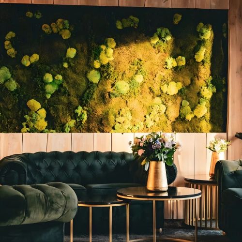 Hotel&Medi-SPA Biały Kamień Świeradów-Zdrój – Świeradów-Zdrój, Polonia