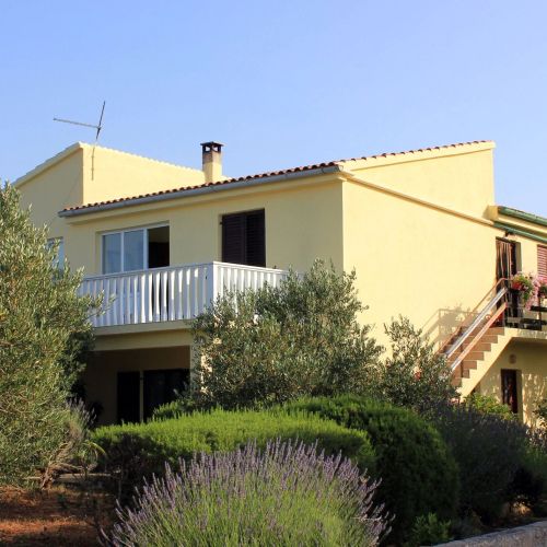 Apartments With Parking Space Zaglav Dugi Otok - 878