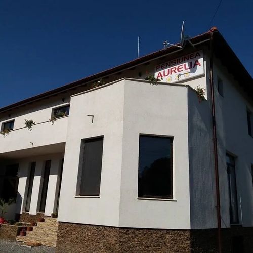 Pensiunea Aurelia Șiria