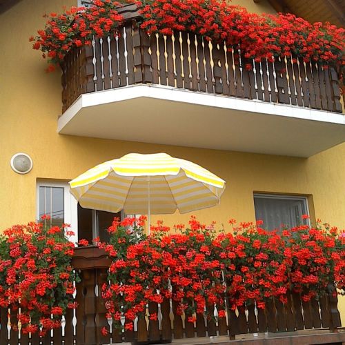 Akácfa Hortenzia Apartman Zalakaros – Zalakaros, Węgry