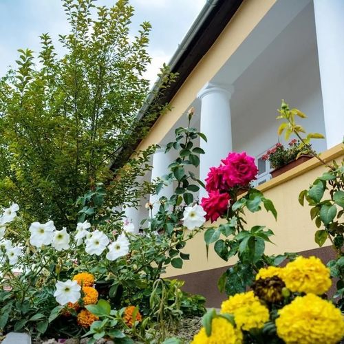 Bokros Vendégház Solt