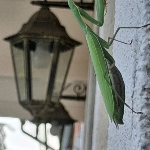 Vagabund Vendégház Etyek – Etyek, Maďarsko