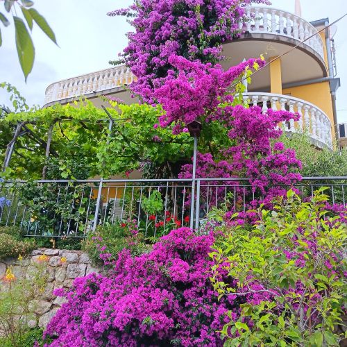 Apartments With Parking Space Medveja, Opatija - 7721 Medveja