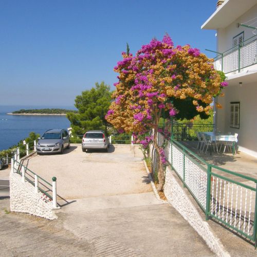 Apartments Dijo Primosten