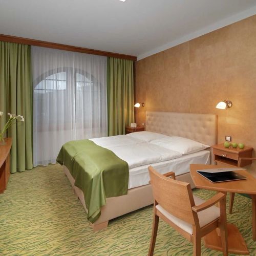 Wellness Hotel Windsor Špindlerův Mlýn – Špindlerův Mlýn, Česká republika