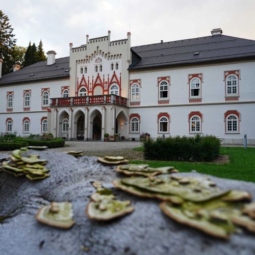 Chateau Herálec & Spa by L'OCCITANE – Herálec, Republica Cehă