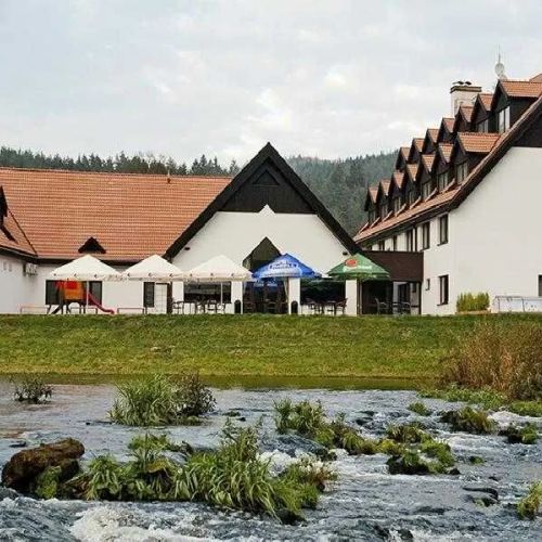 Hotel Vír